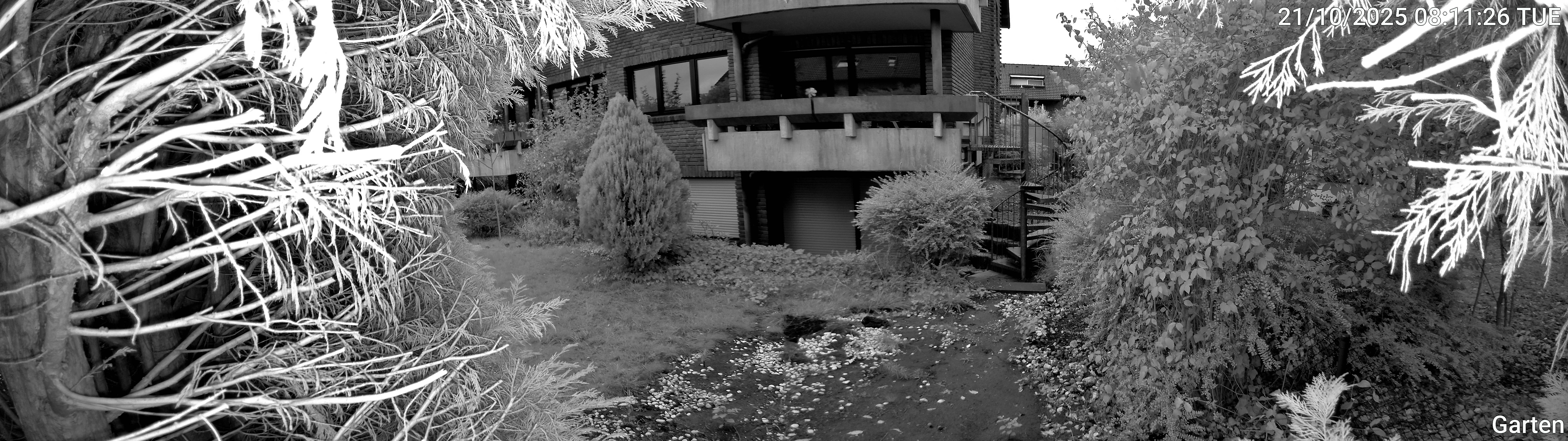 Garten_00_20251021081126.jpg
