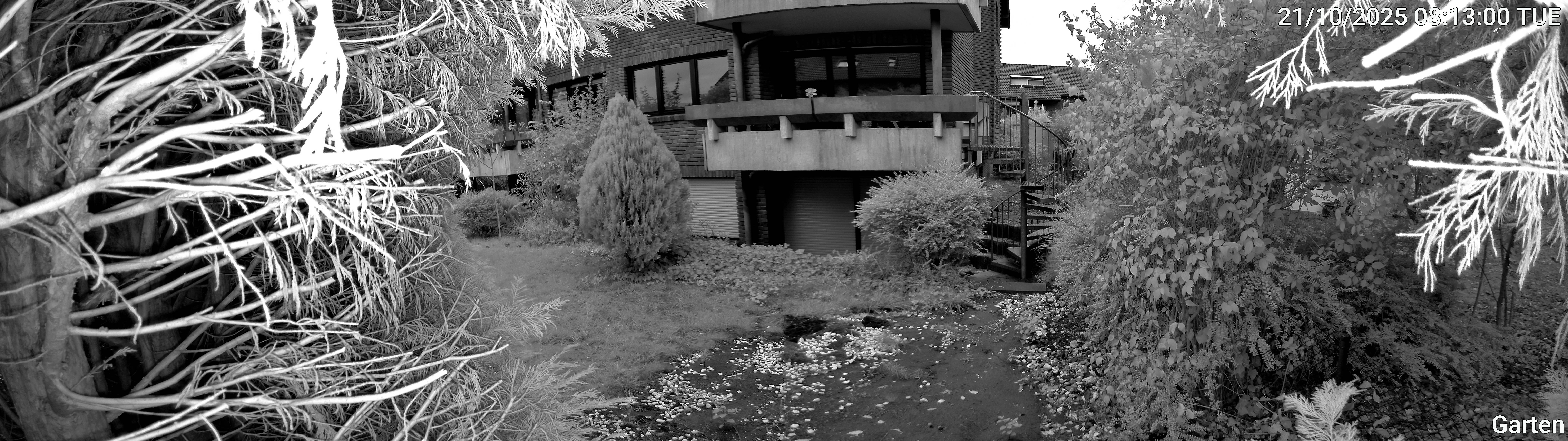 Garten_00_20251021081301.jpg