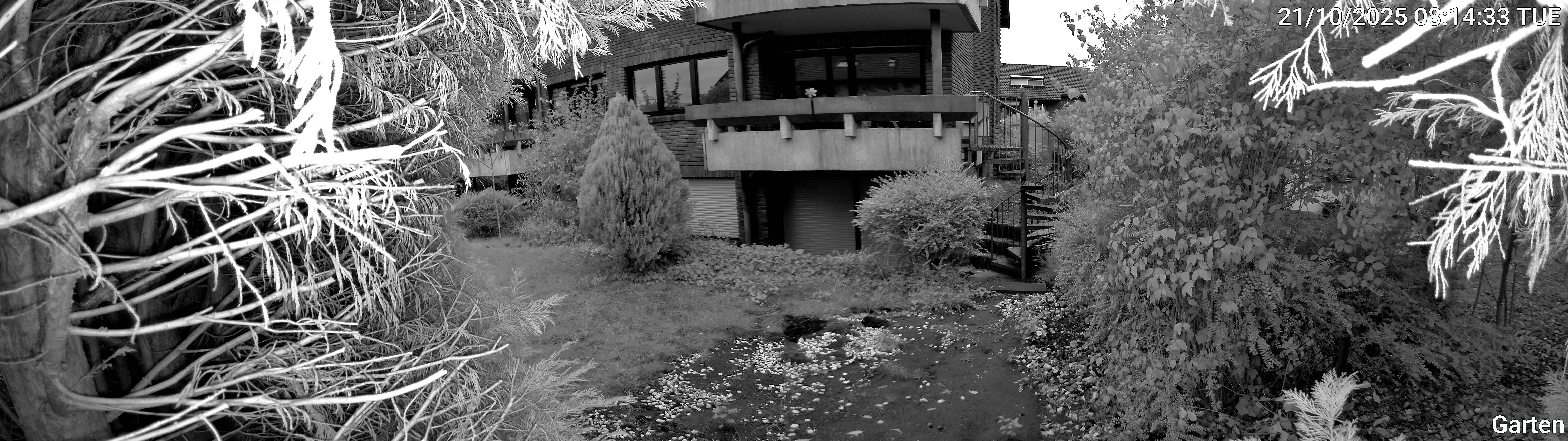 Garten_00_20251021081433.jpg