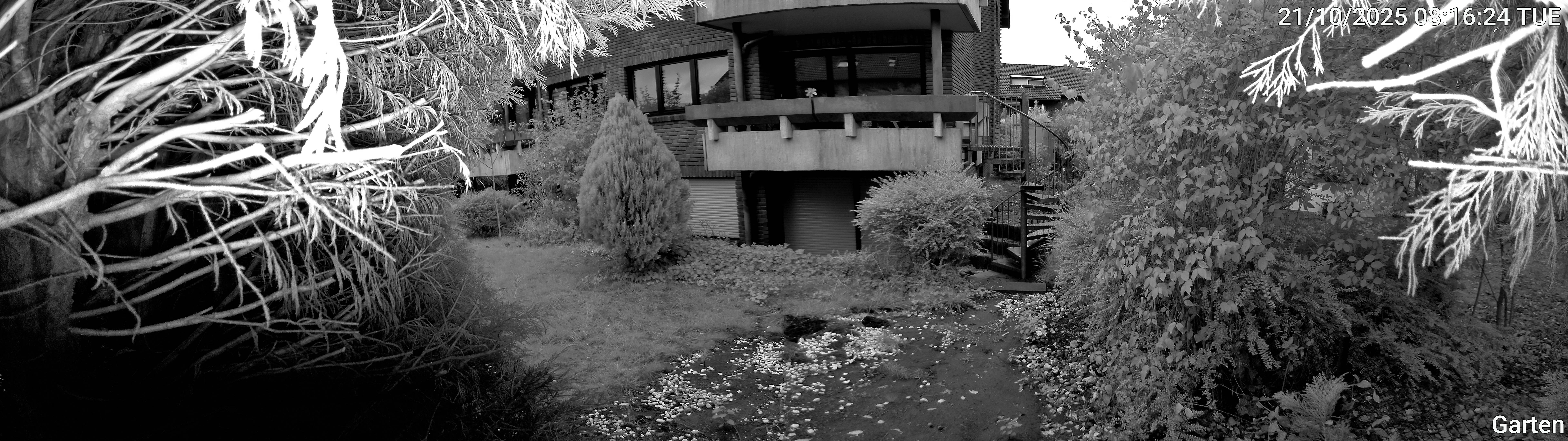 Garten_00_20251021081625.jpg