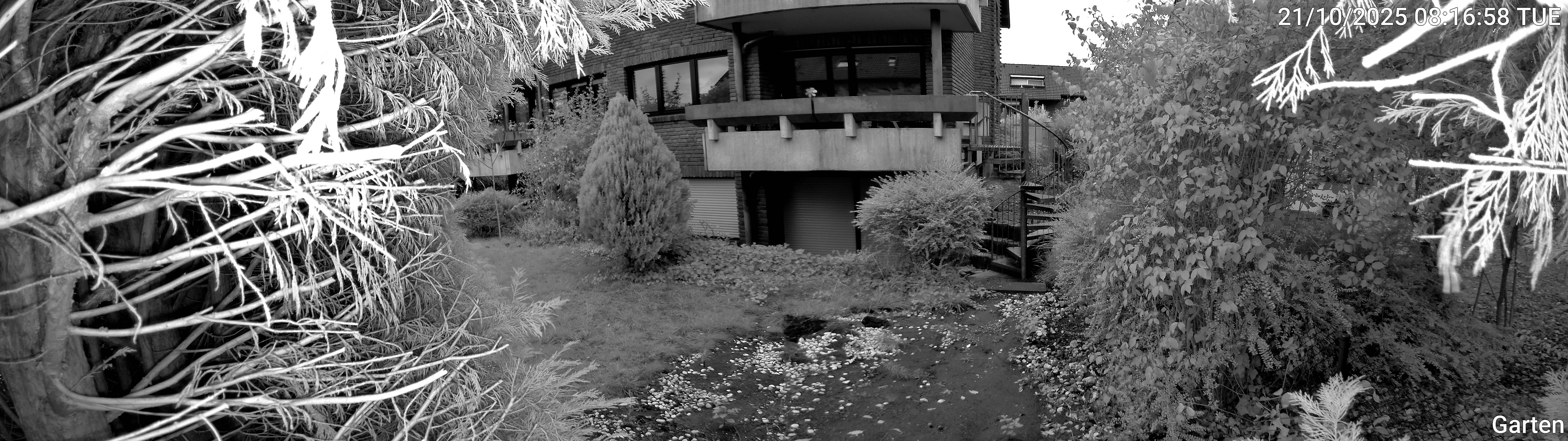 Garten_00_20251021081658.jpg
