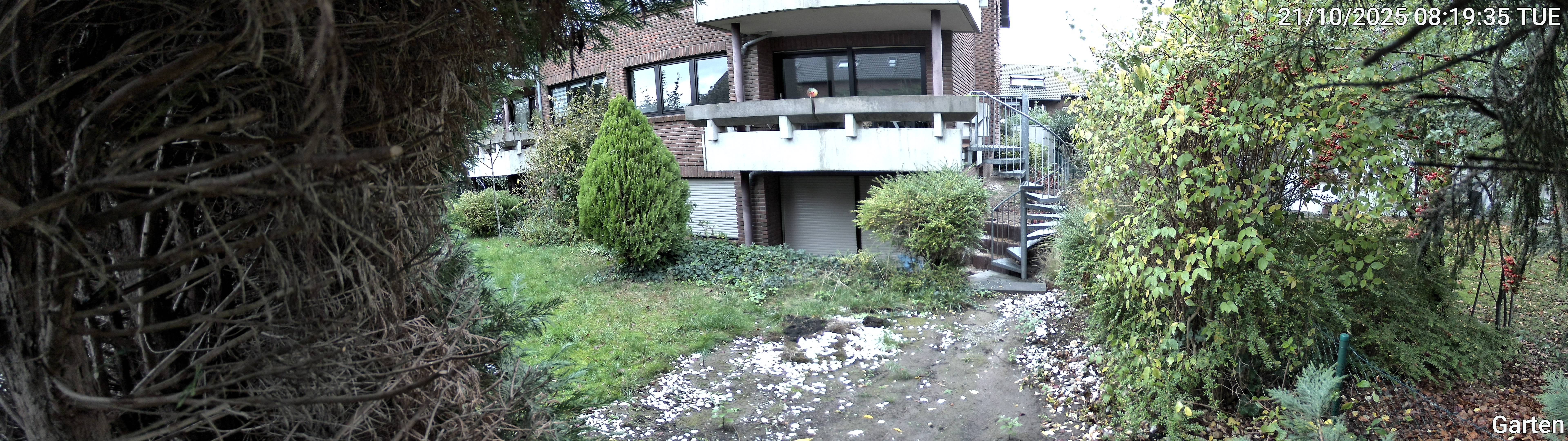 Garten_00_20251021081935.jpg