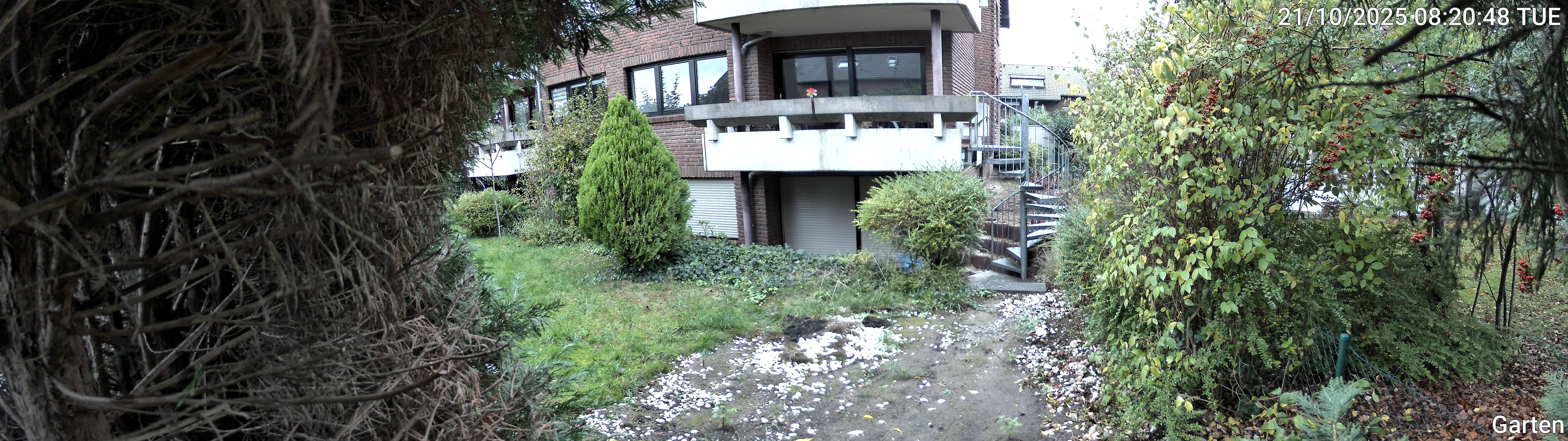 Garten_00_20251021082048.jpg