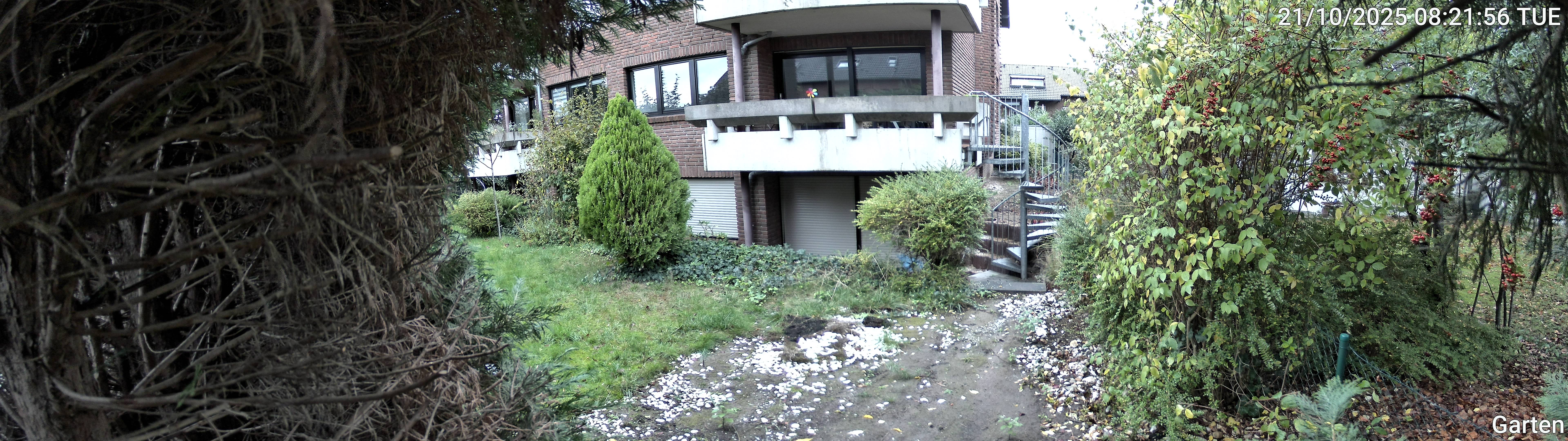 Garten_00_20251021082156.jpg