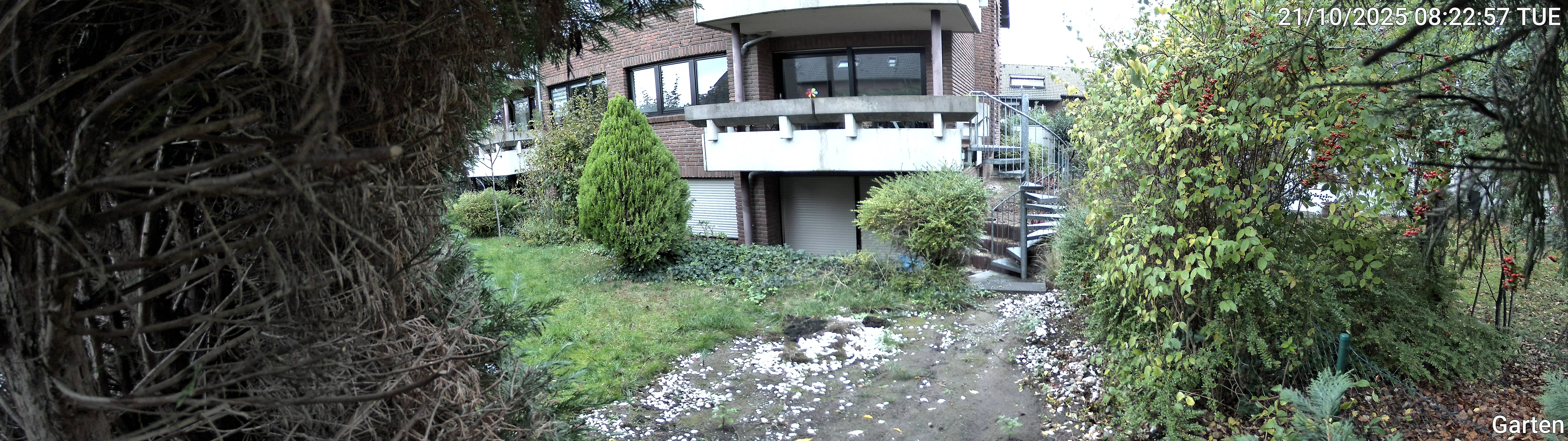 Garten_00_20251021082257.jpg