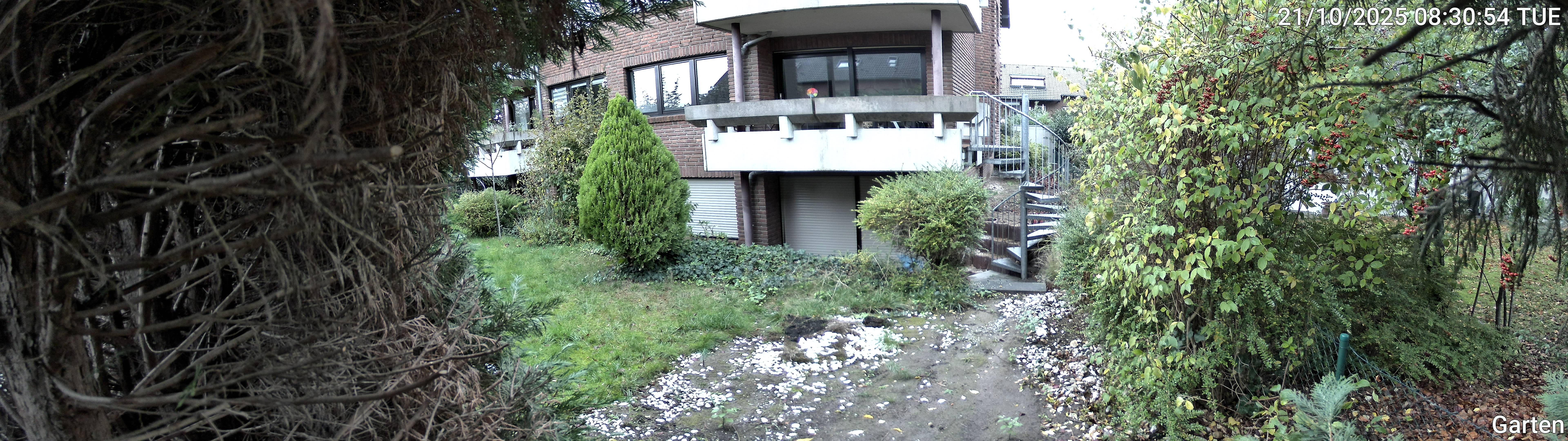 Garten_00_20251021083055.jpg