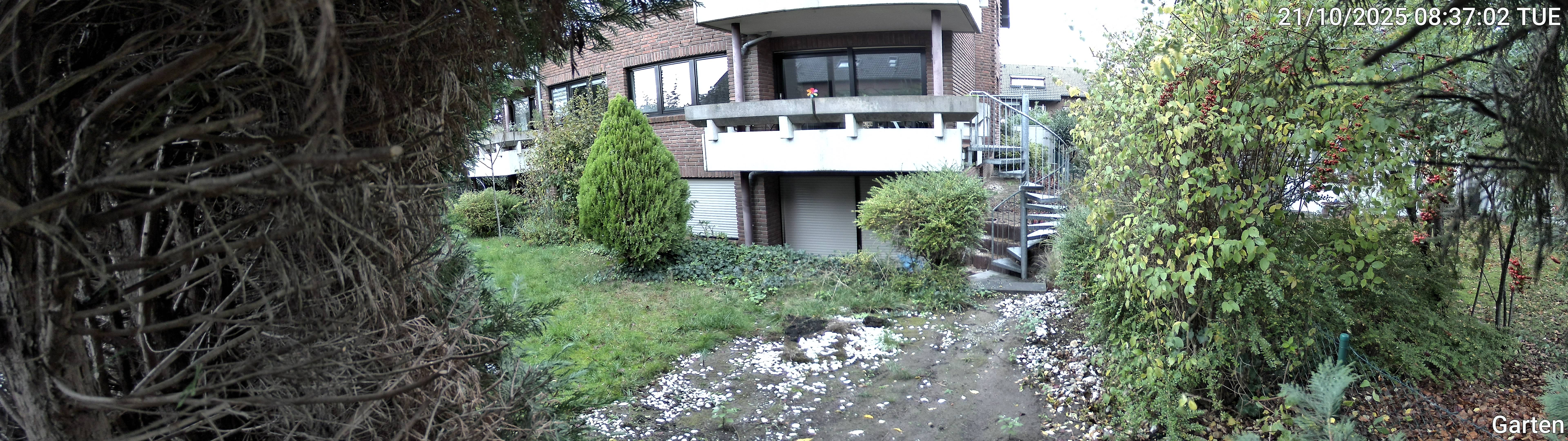 Garten_00_20251021083702.jpg