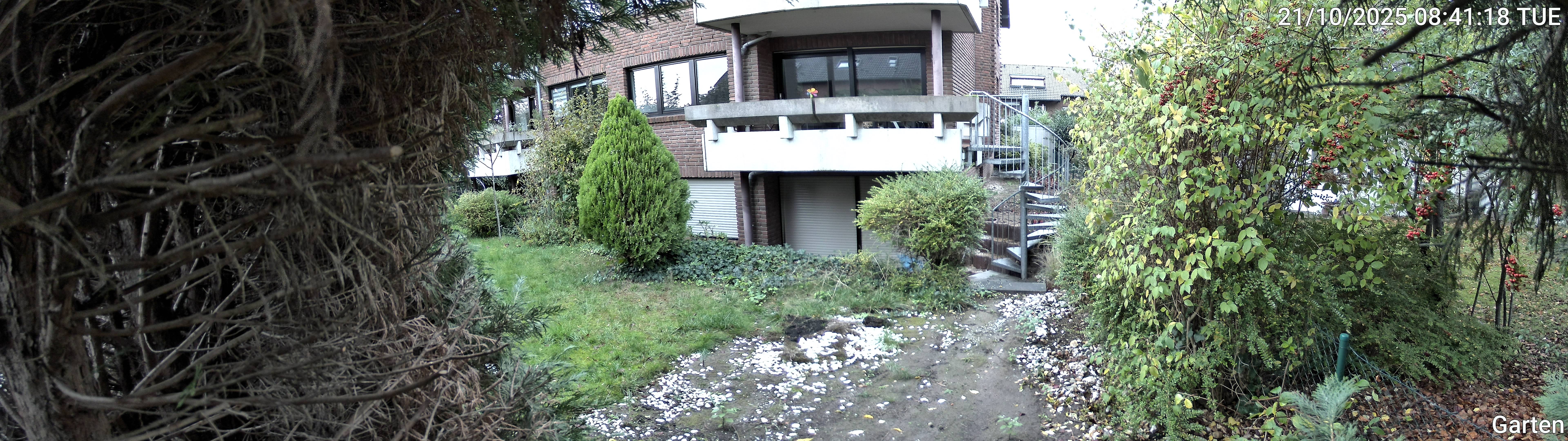 Garten_00_20251021084118.jpg