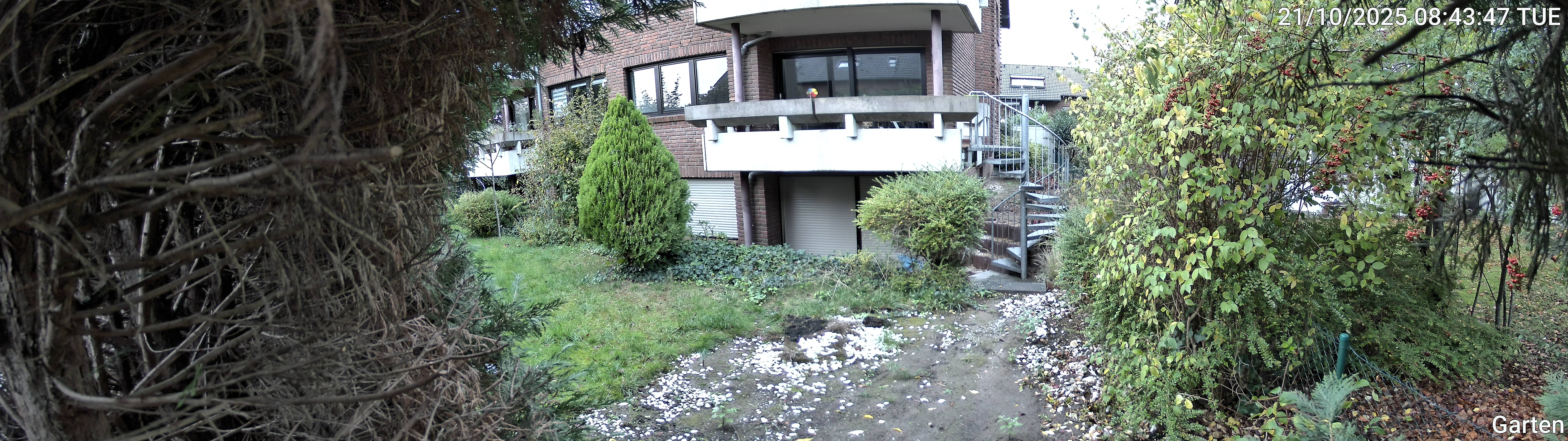 Garten_00_20251021084347.jpg