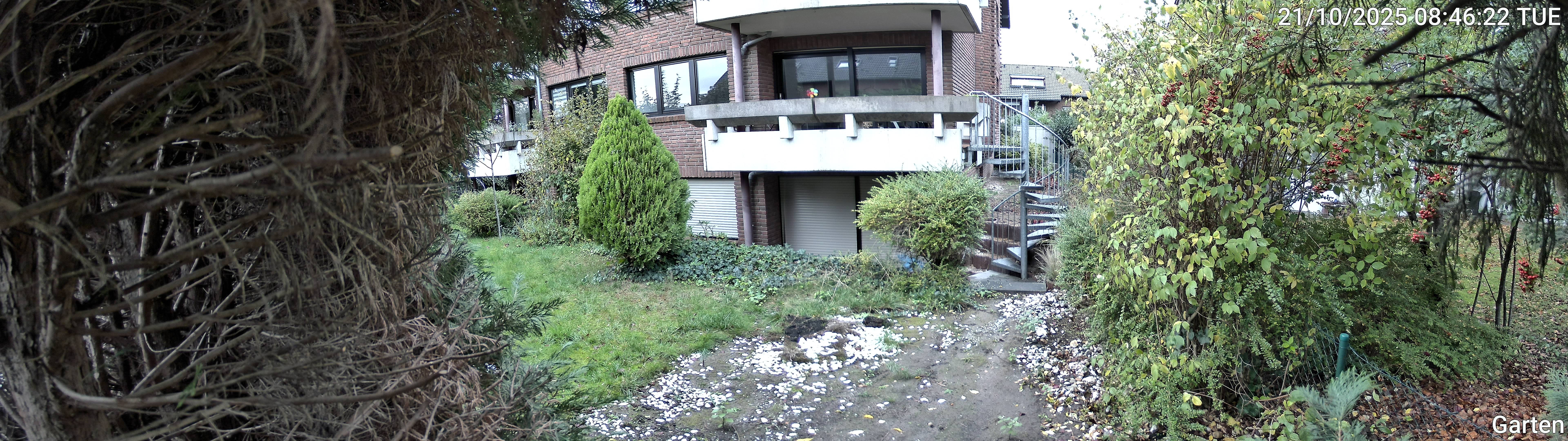 Garten_00_20251021084622.jpg
