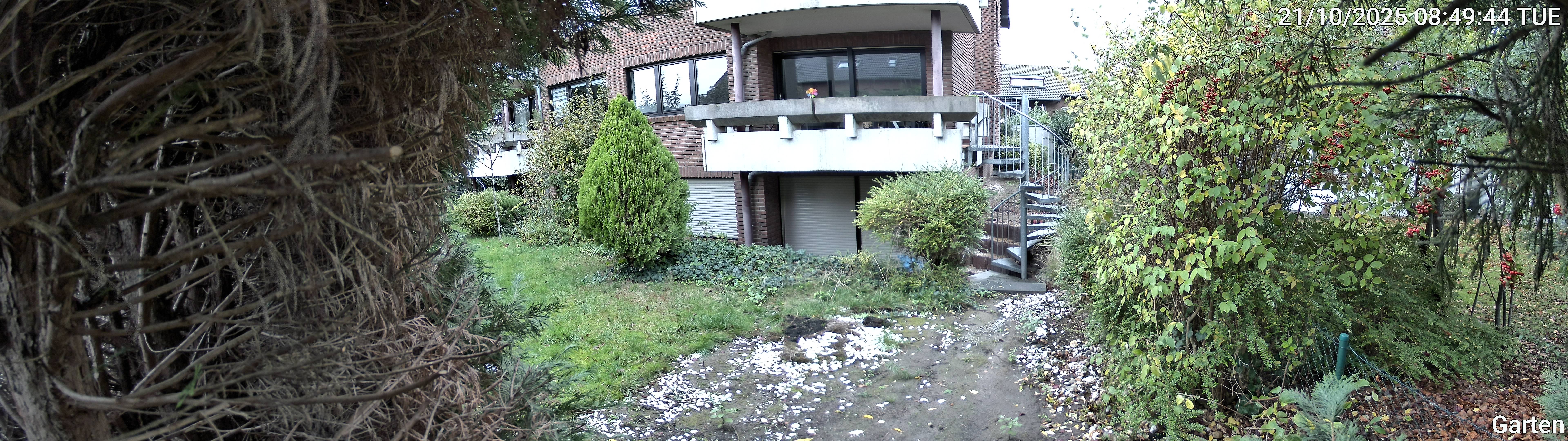 Garten_00_20251021084944.jpg