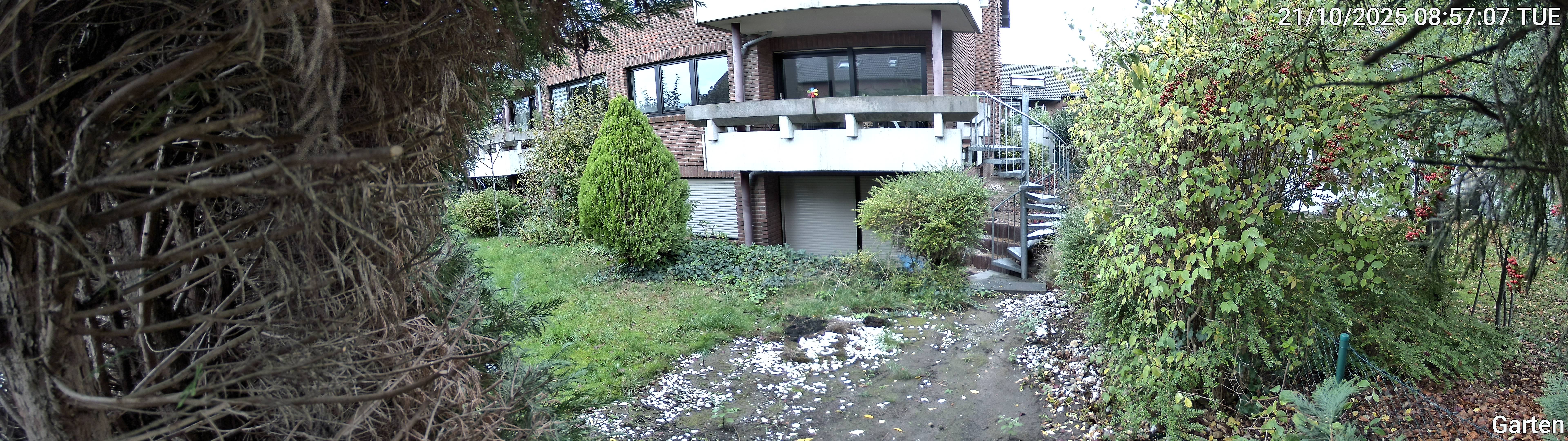 Garten_00_20251021085707.jpg