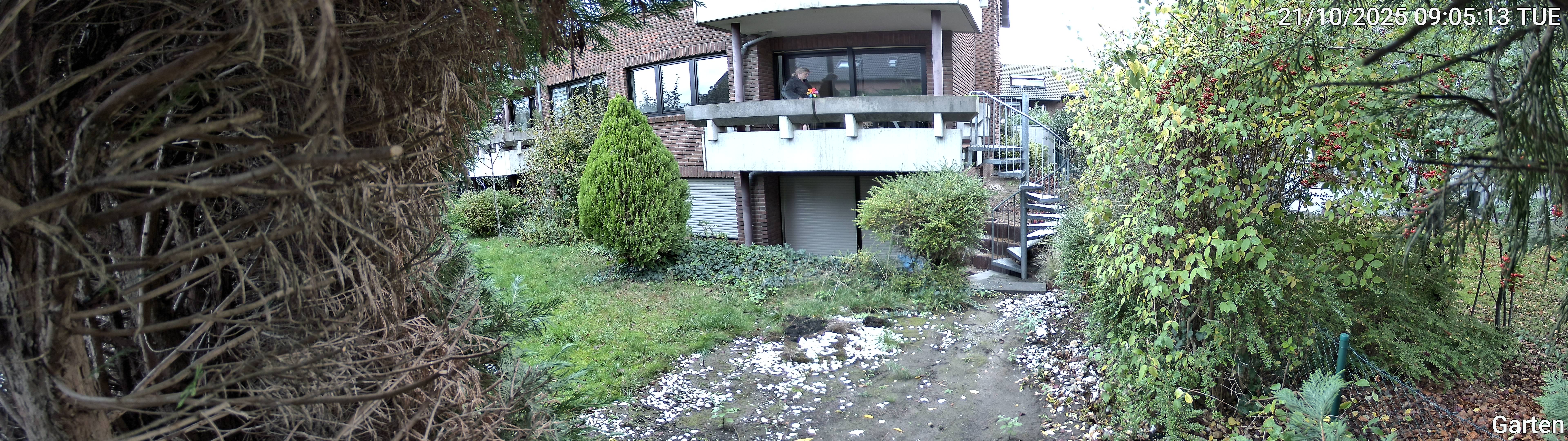 Garten_00_20251021090513.jpg