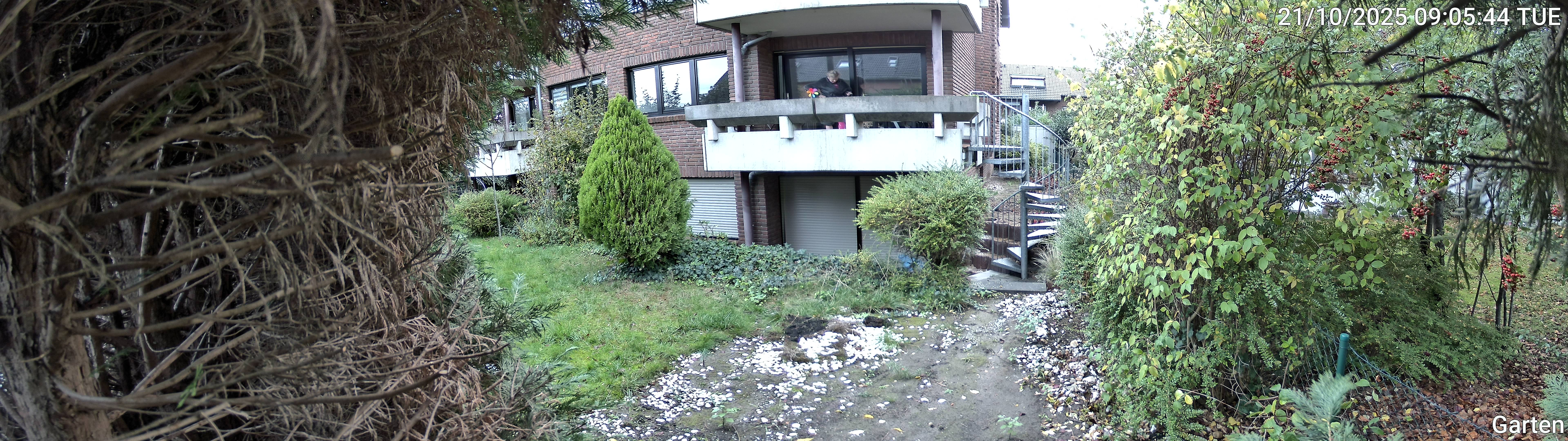 Garten_00_20251021090544.jpg