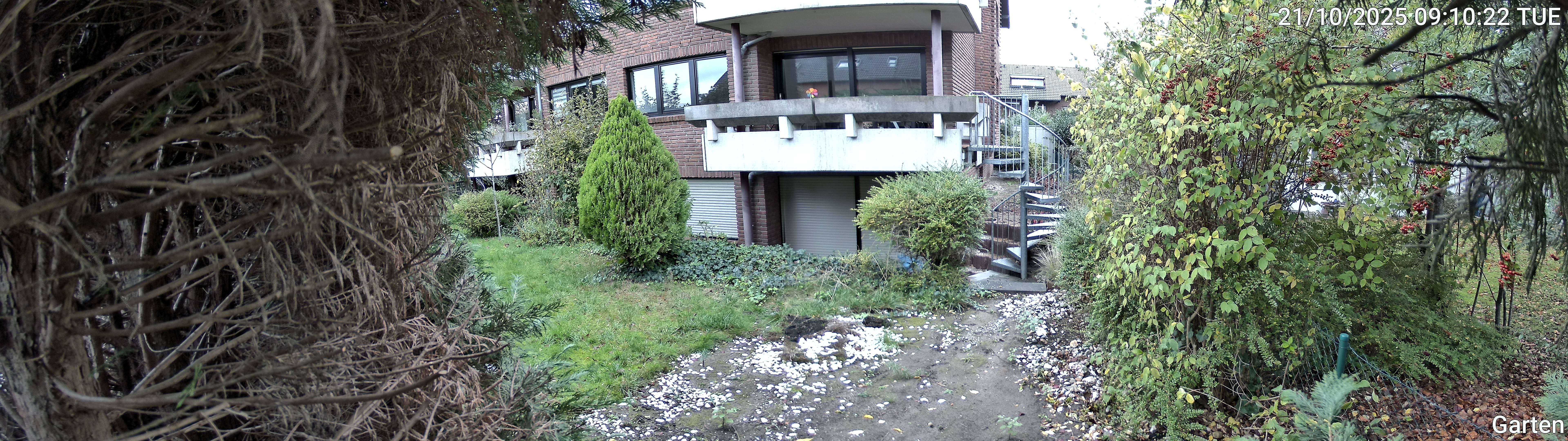 Garten_00_20251021091022.jpg