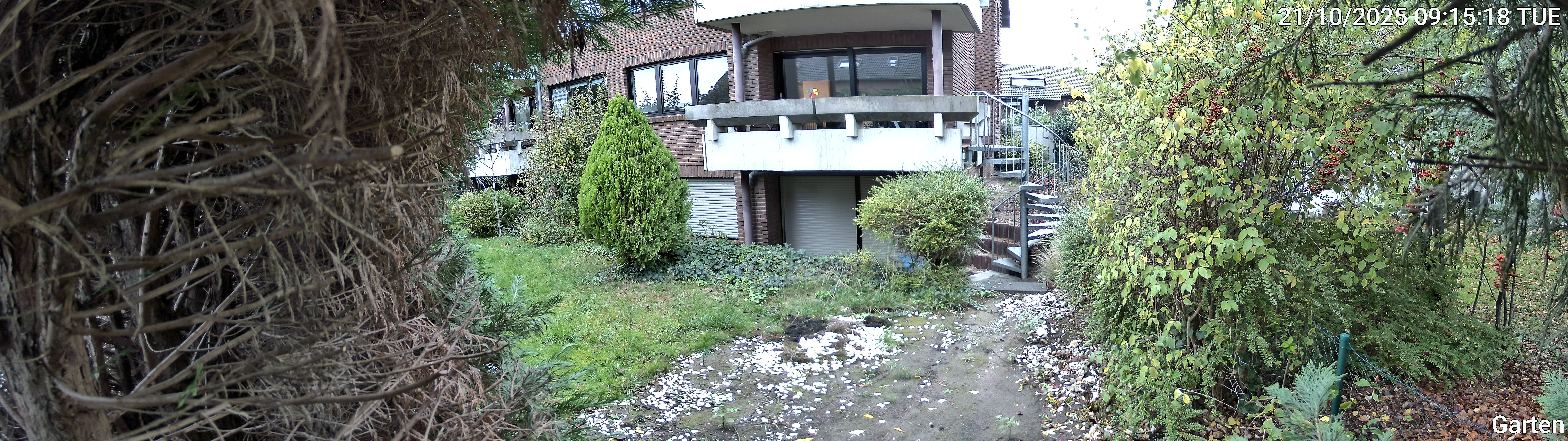 Garten_00_20251021091518.jpg