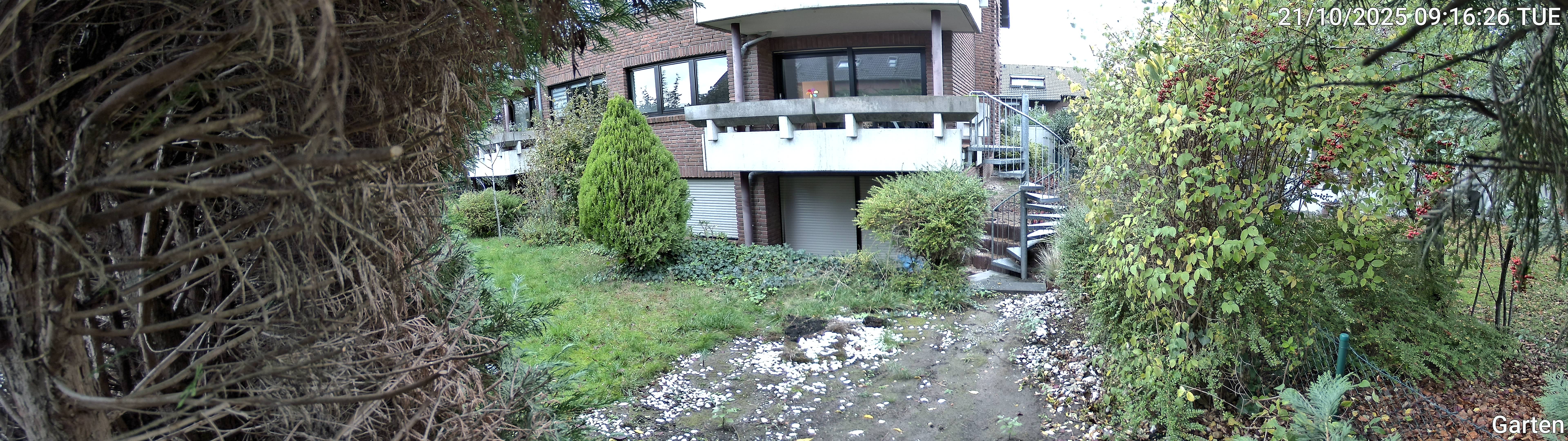 Garten_00_20251021091626.jpg