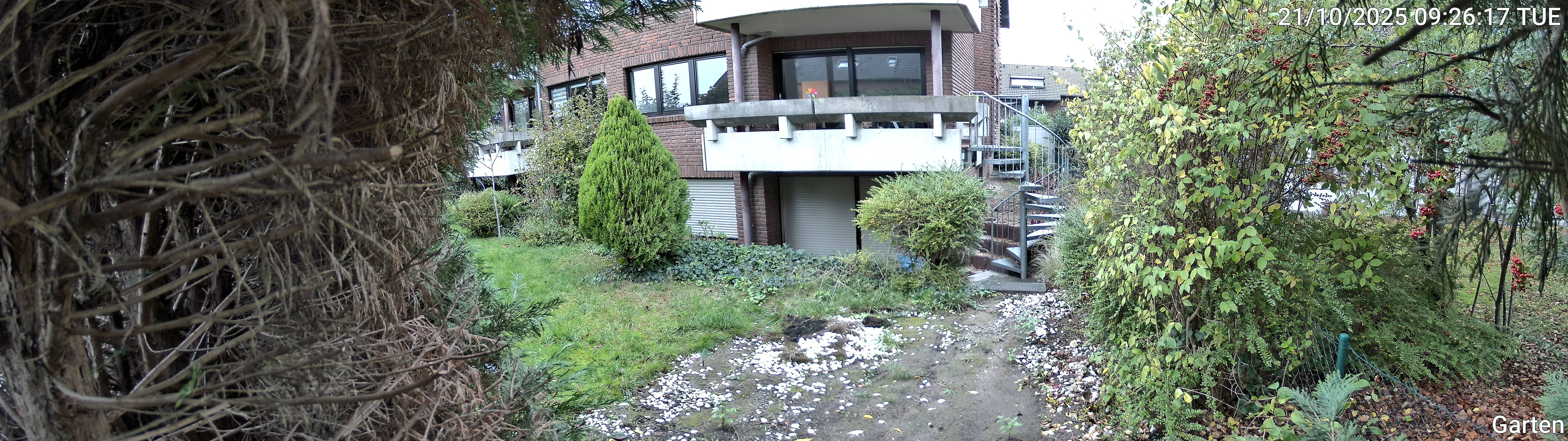 Garten_00_20251021092617.jpg