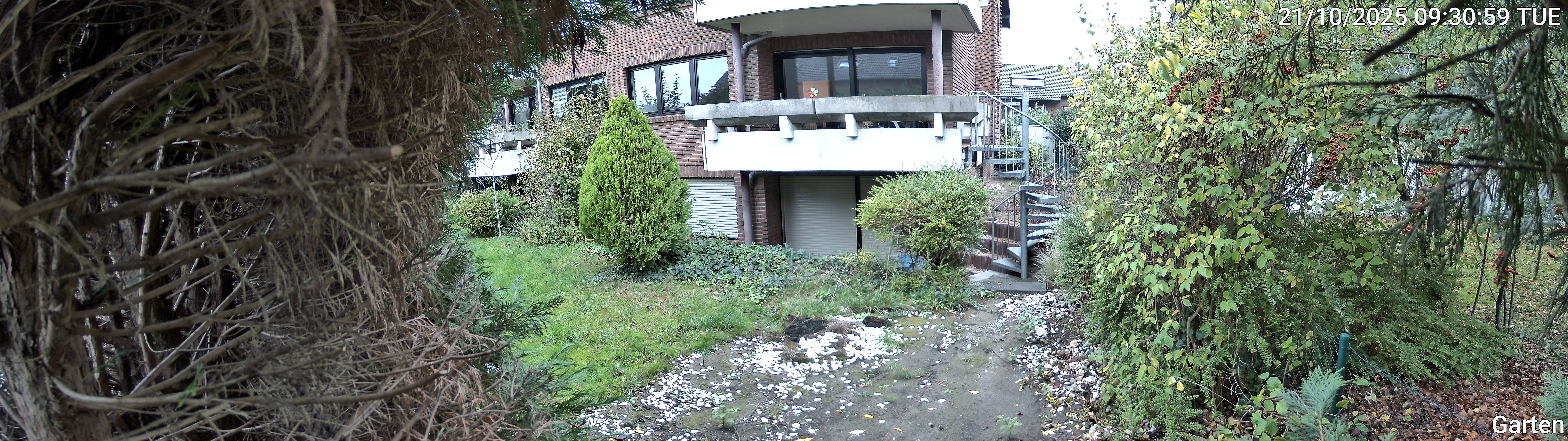 Garten_00_20251021093100.jpg