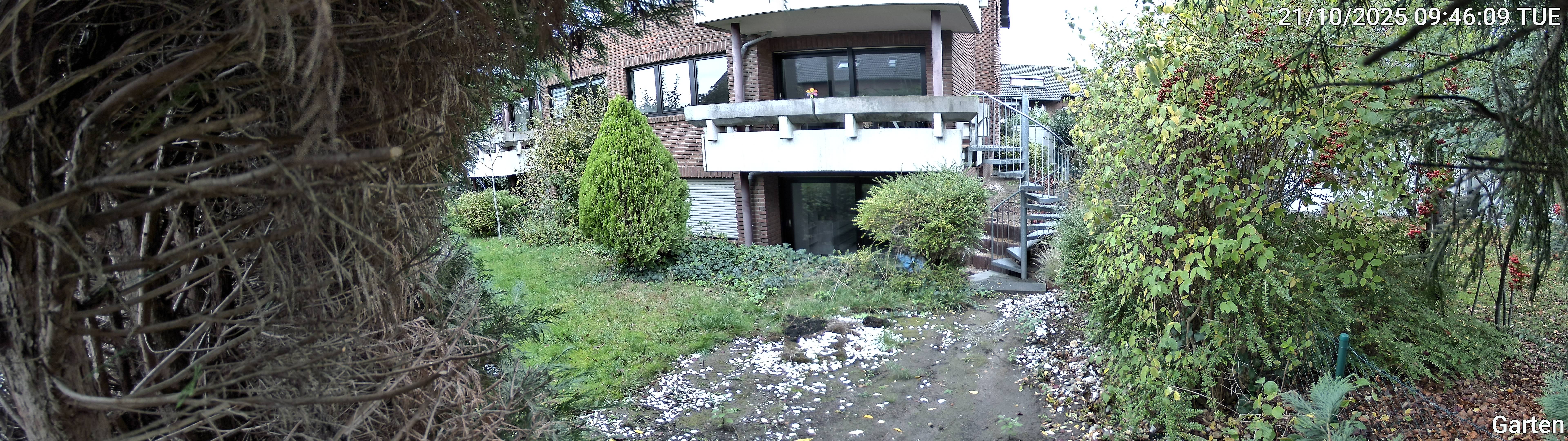 Garten_00_20251021094609.jpg