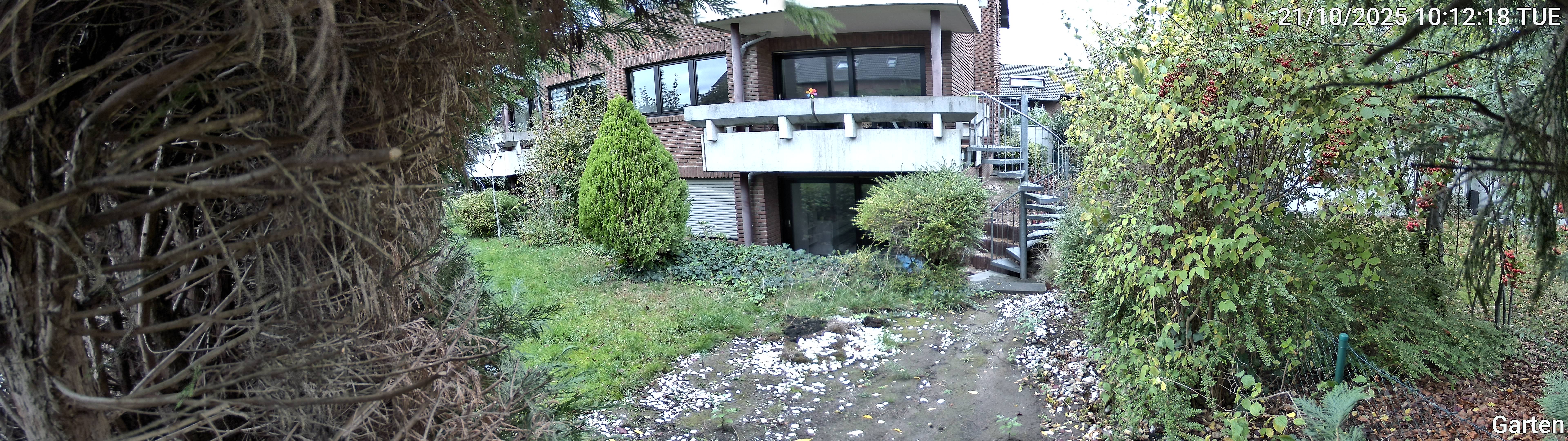 Garten_00_20251021101219.jpg