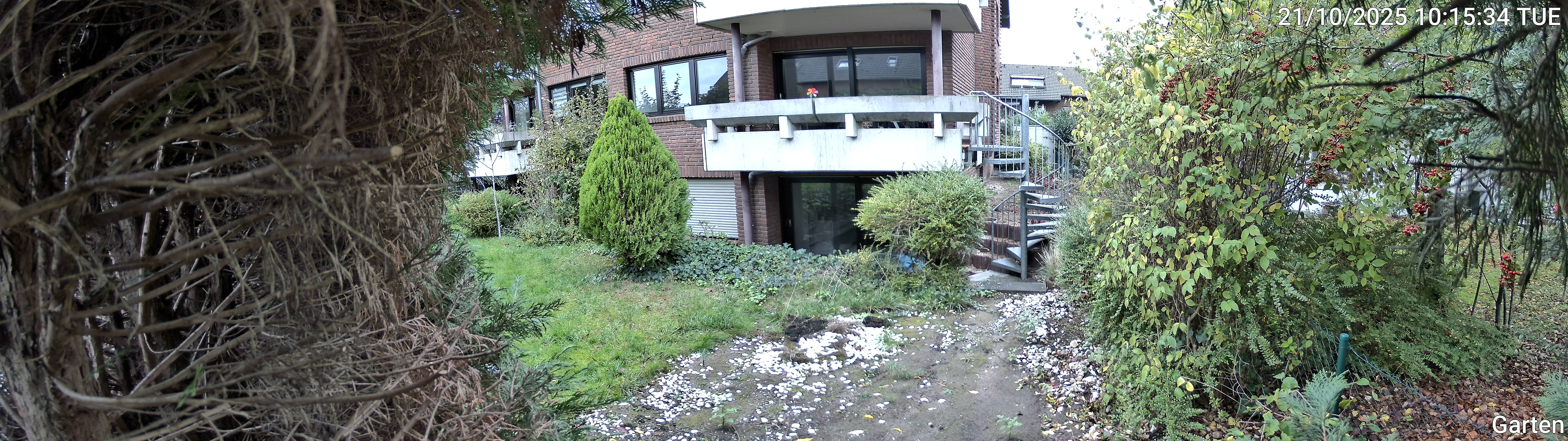 Garten_00_20251021101534.jpg