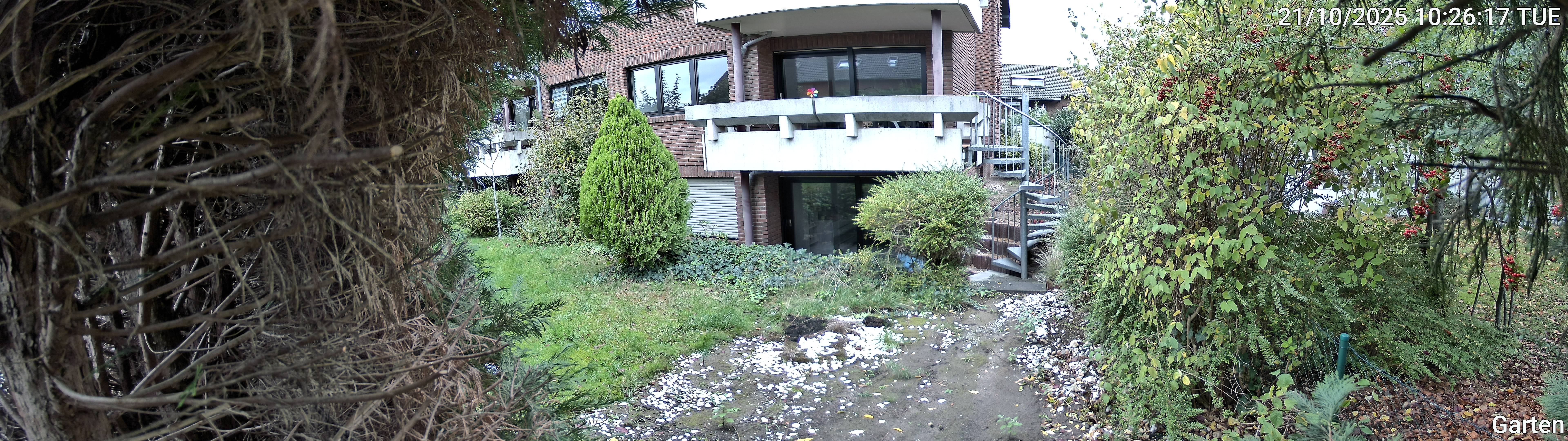 Garten_00_20251021102617.jpg