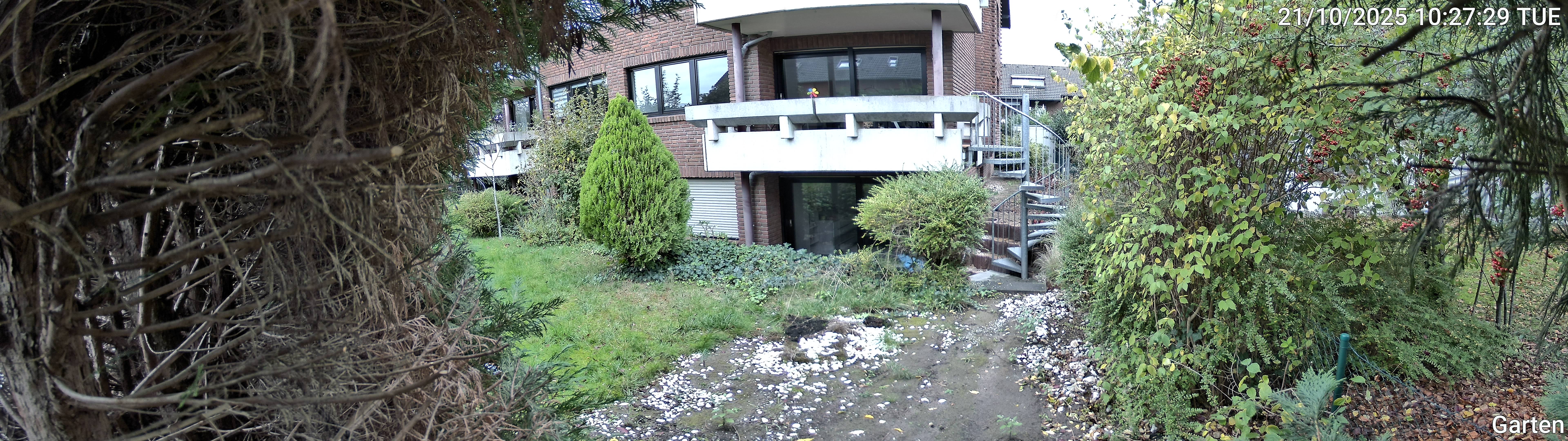 Garten_00_20251021102729.jpg
