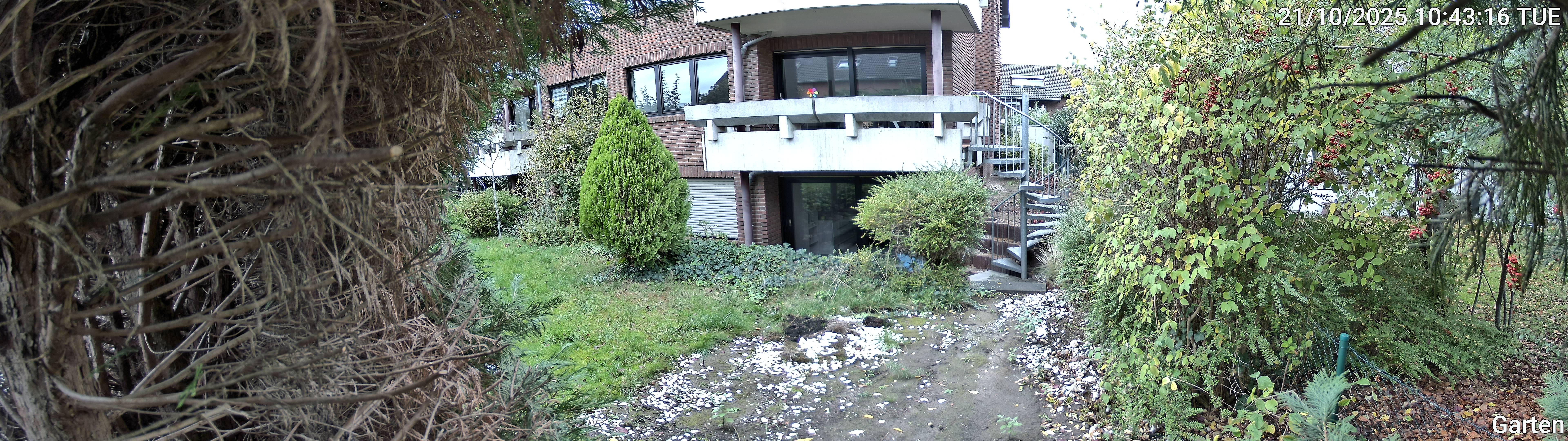 Garten_00_20251021104316.jpg