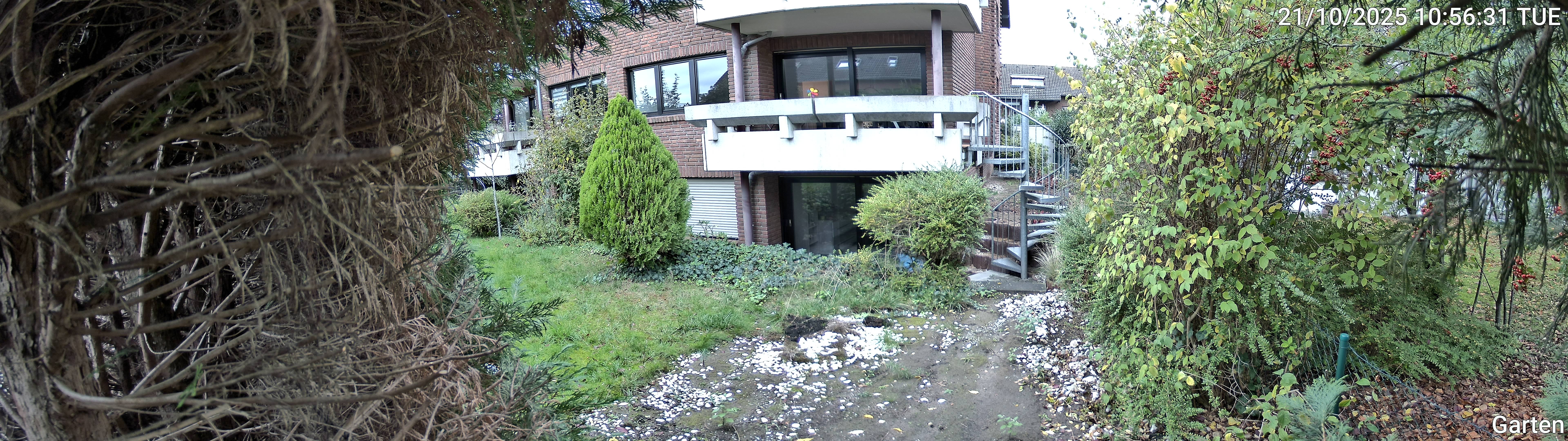 Garten_00_20251021105631.jpg