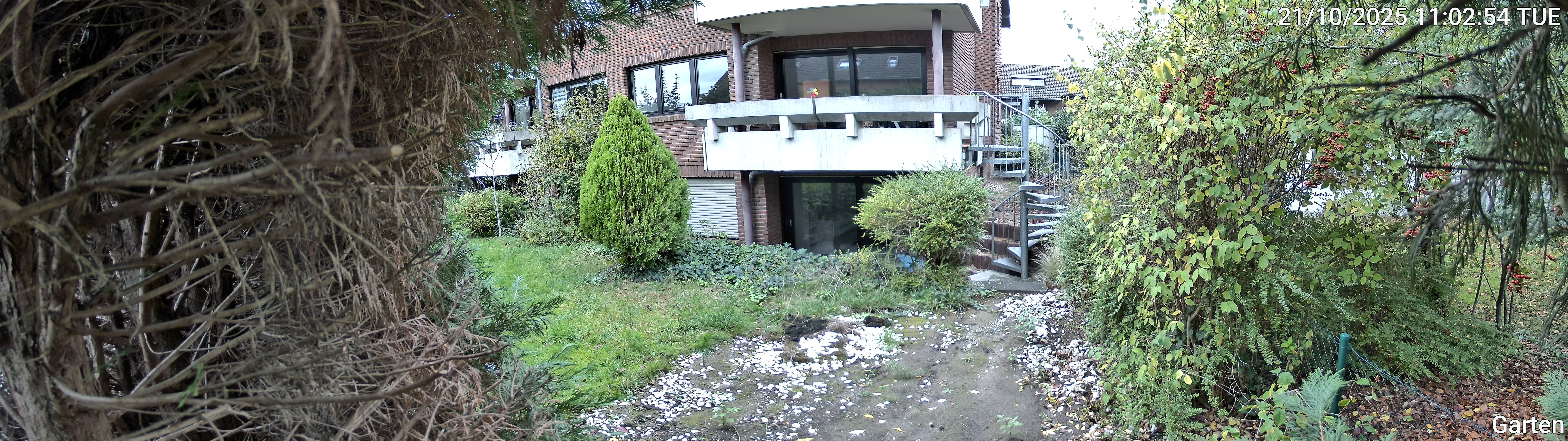 Garten_00_20251021110254.jpg
