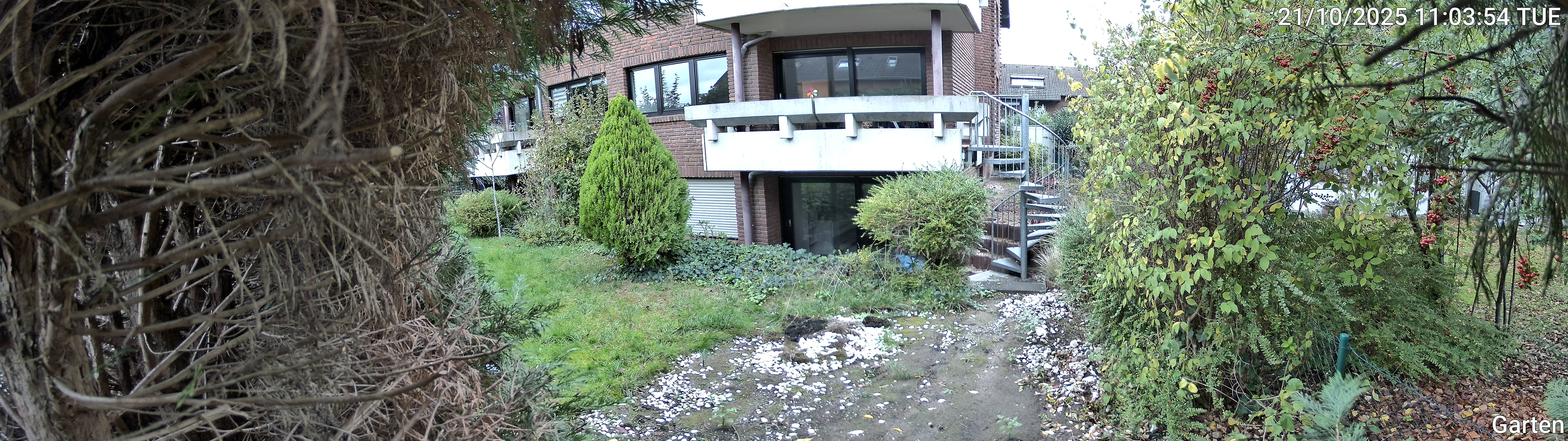 Garten_00_20251021110354.jpg