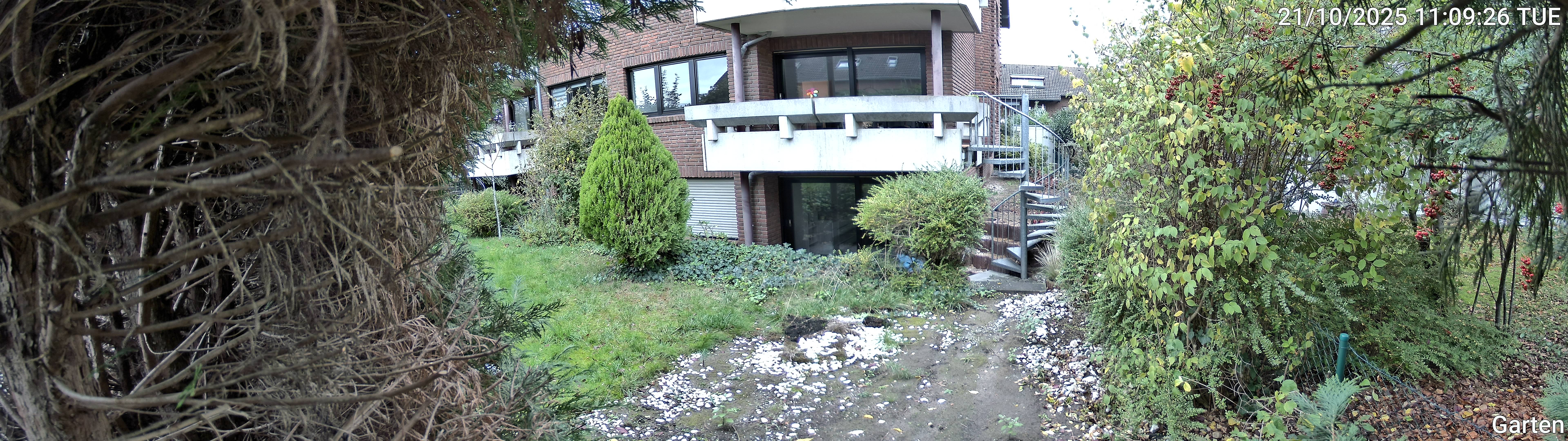 Garten_00_20251021110926.jpg