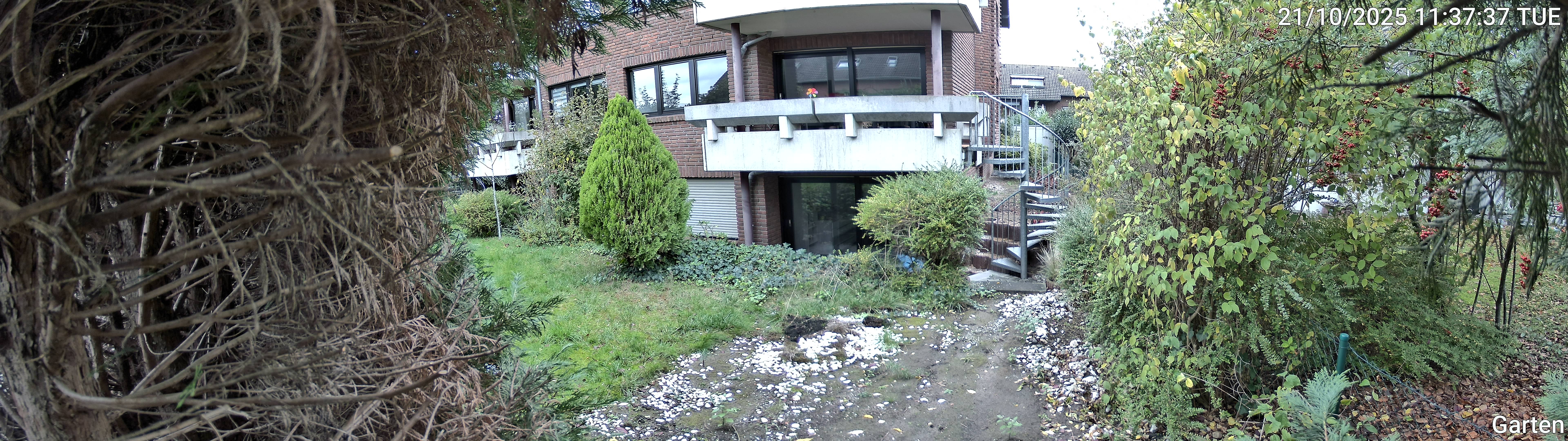 Garten_00_20251021113738.jpg