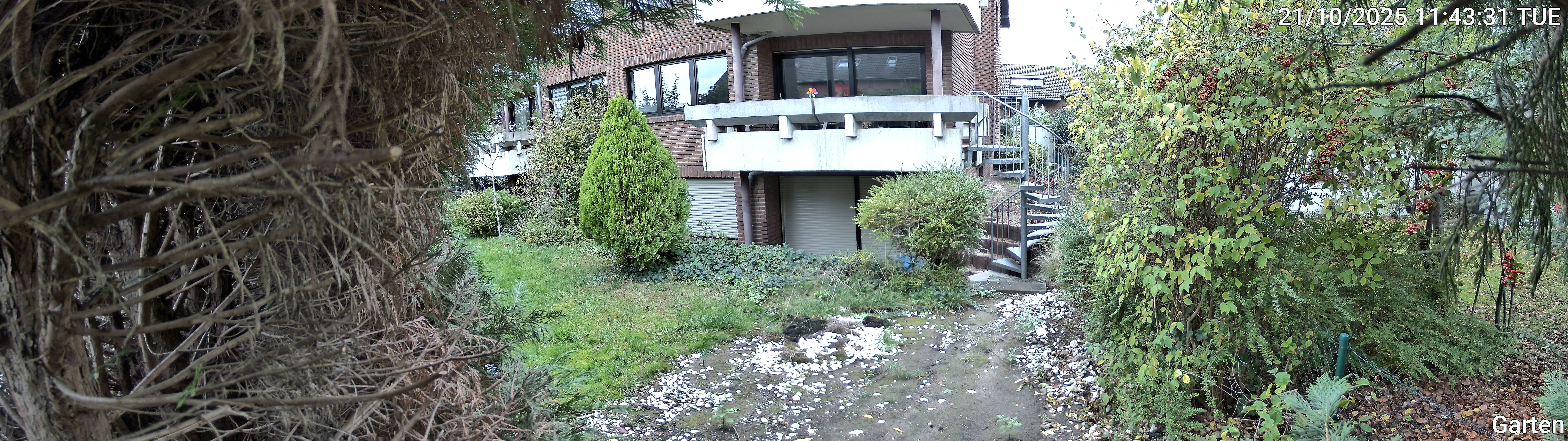 Garten_00_20251021114332.jpg