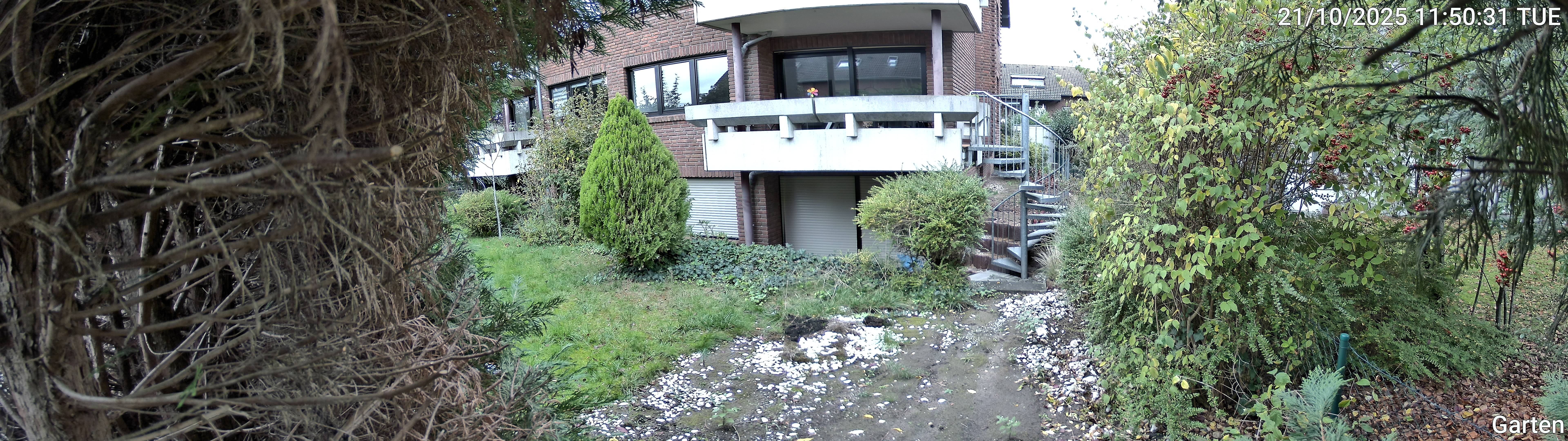 Garten_00_20251021115031.jpg