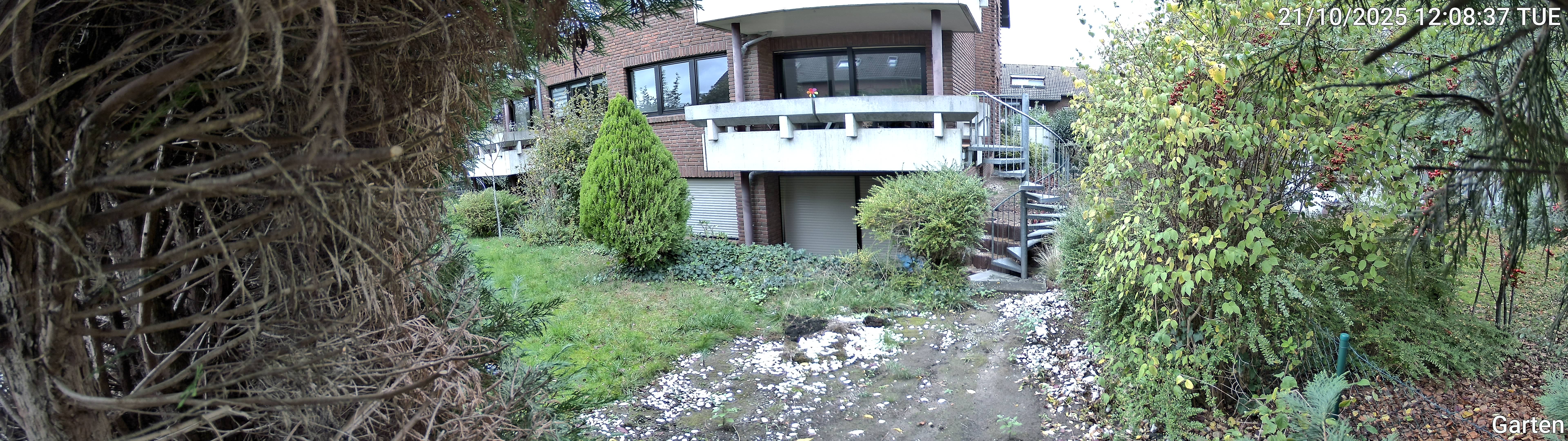 Garten_00_20251021120837.jpg