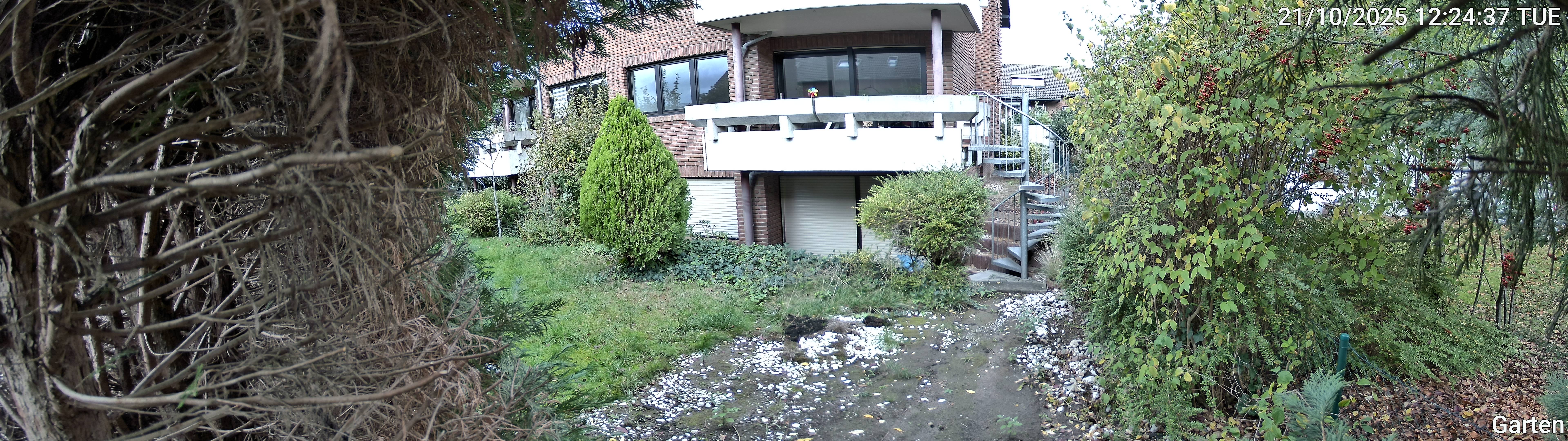 Garten_00_20251021122438.jpg