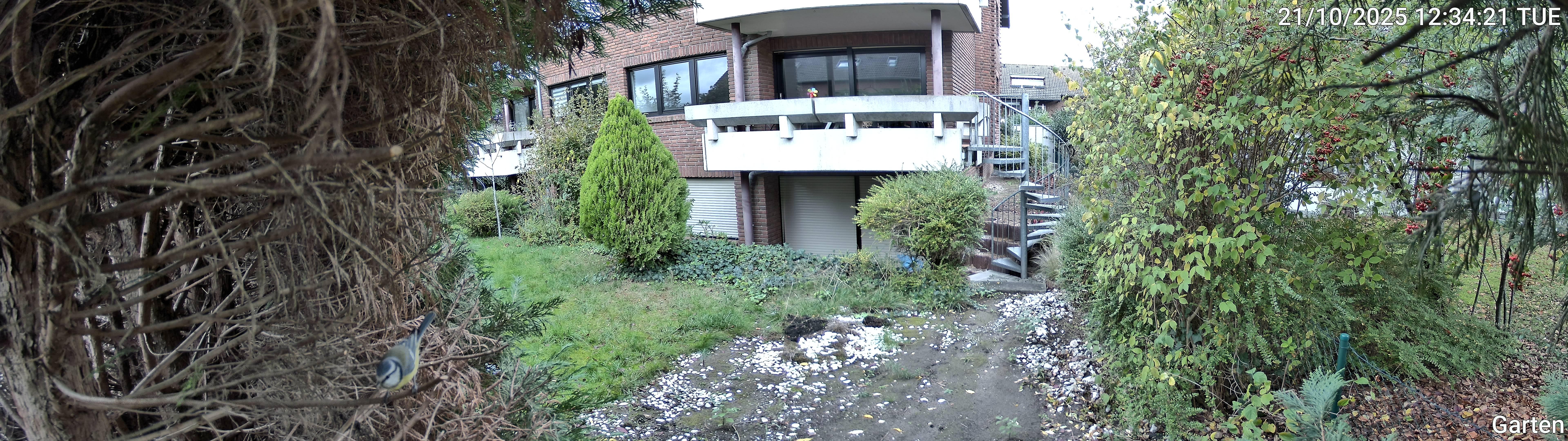 Garten_00_20251021123421.jpg