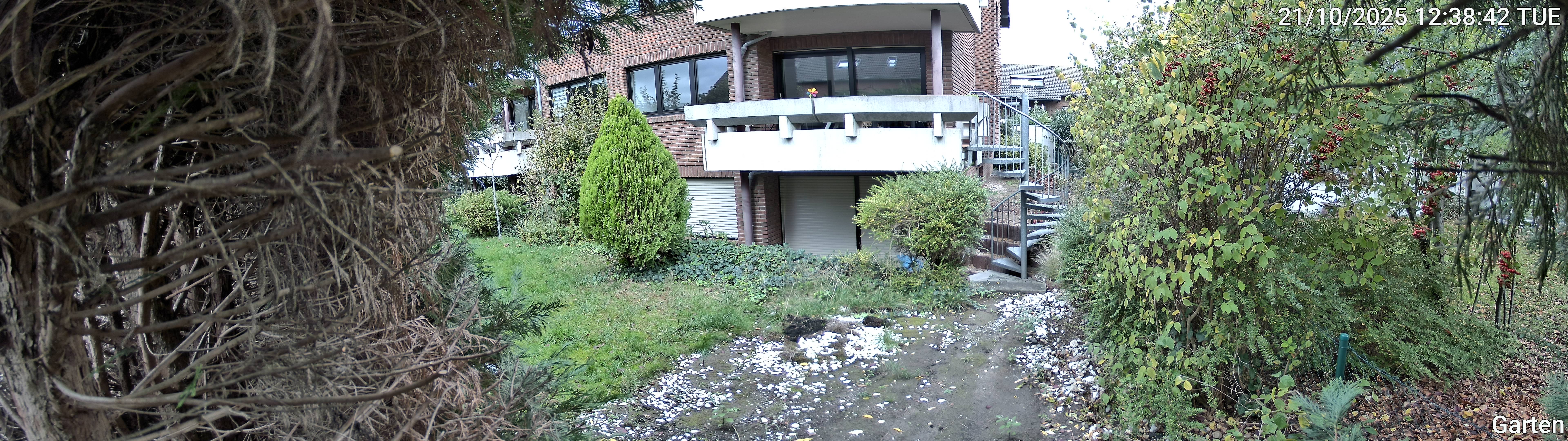 Garten_00_20251021123843.jpg
