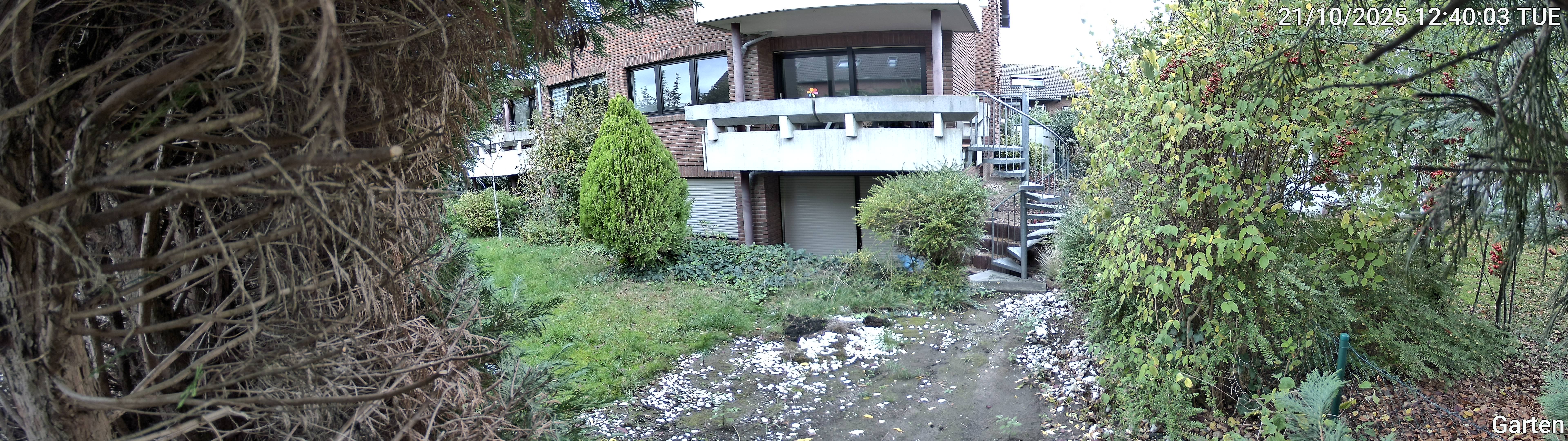 Garten_00_20251021124003.jpg