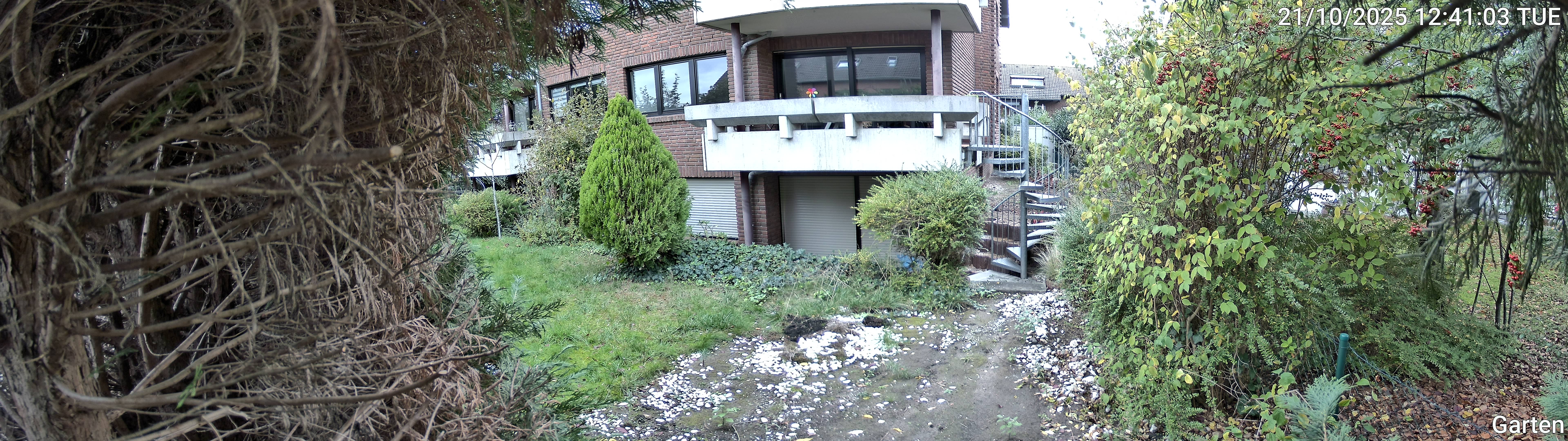 Garten_00_20251021124103.jpg
