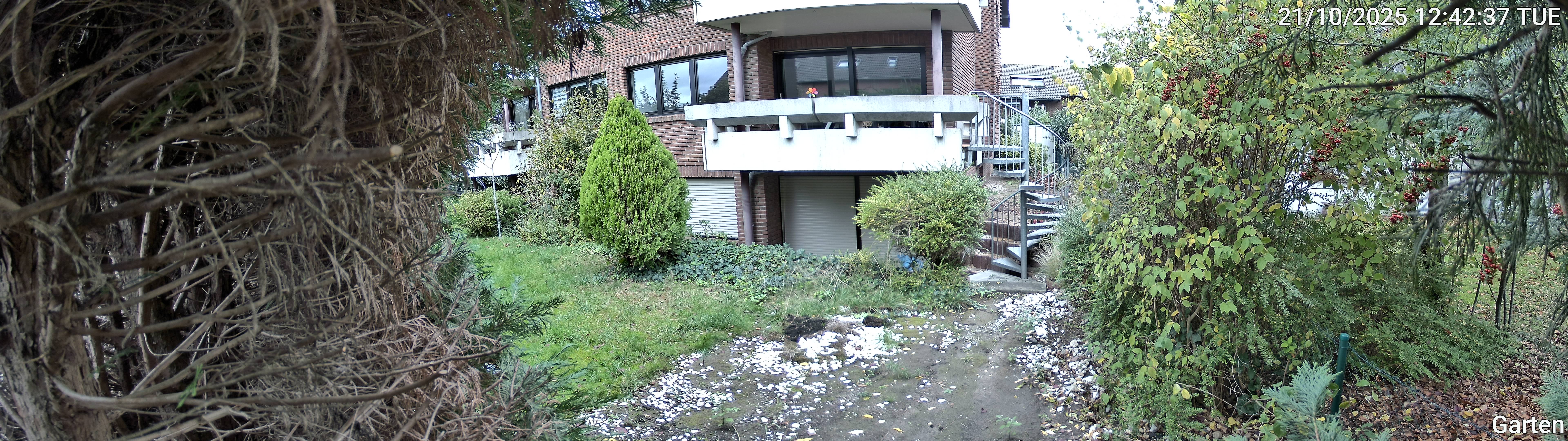 Garten_00_20251021124237.jpg