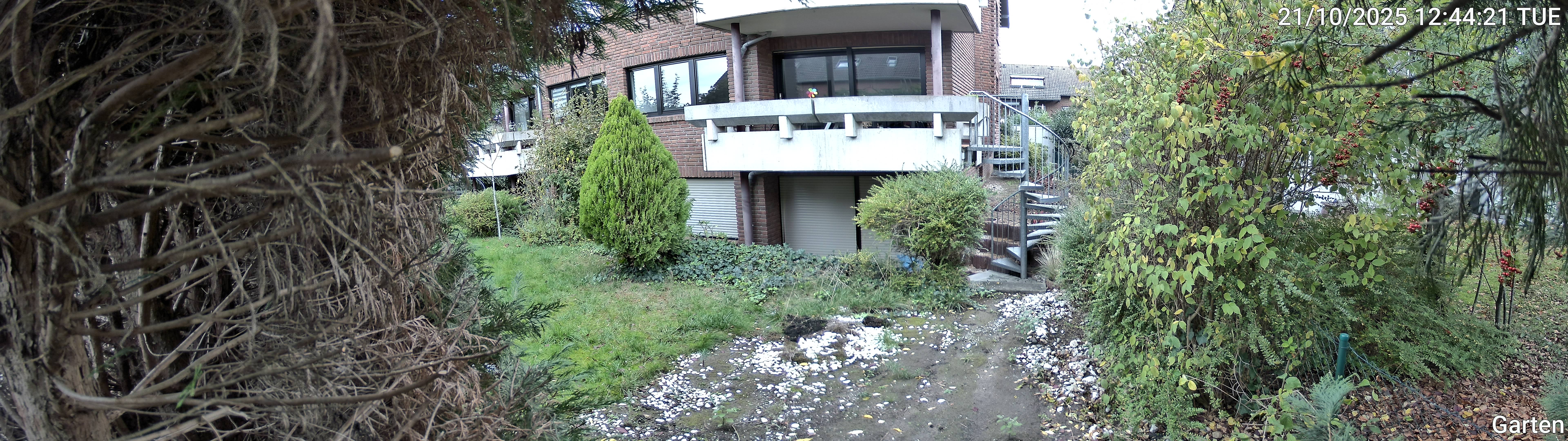 Garten_00_20251021124421.jpg
