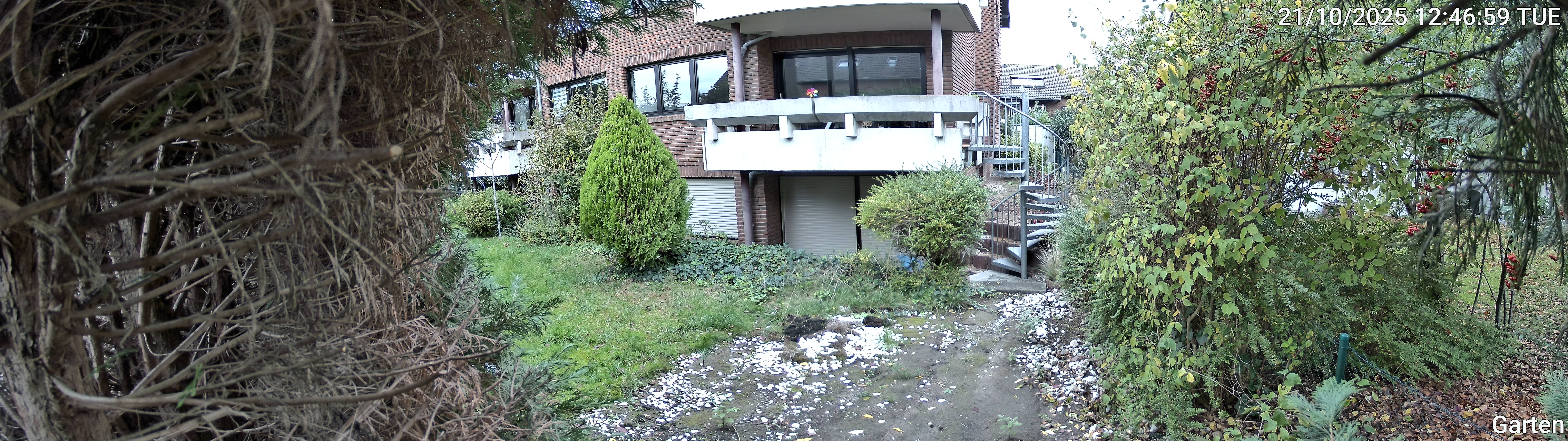 Garten_00_20251021124659.jpg