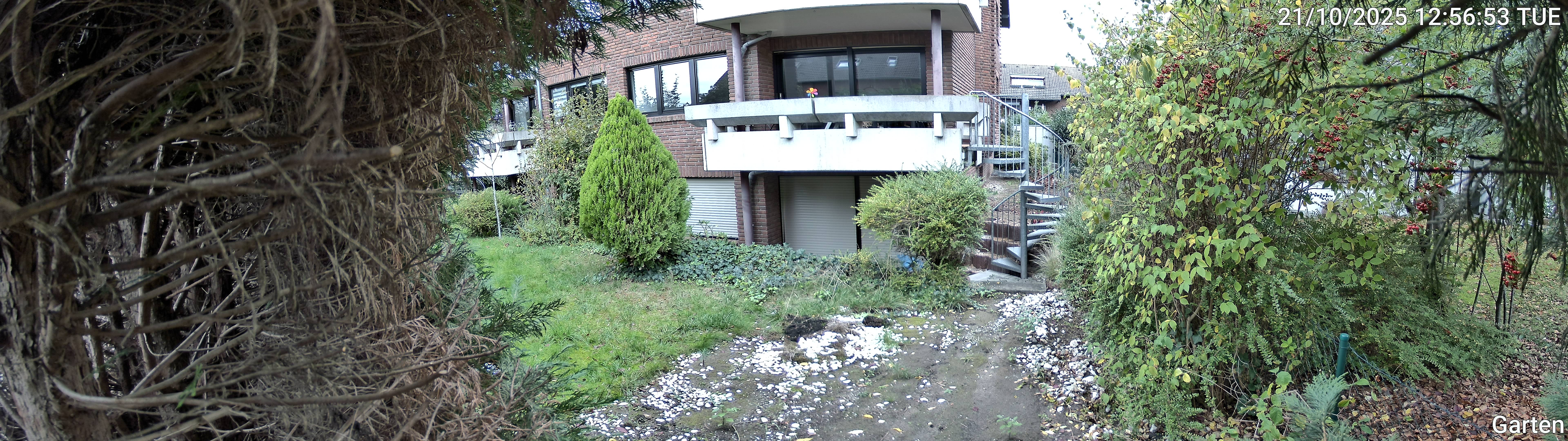 Garten_00_20251021125654.jpg