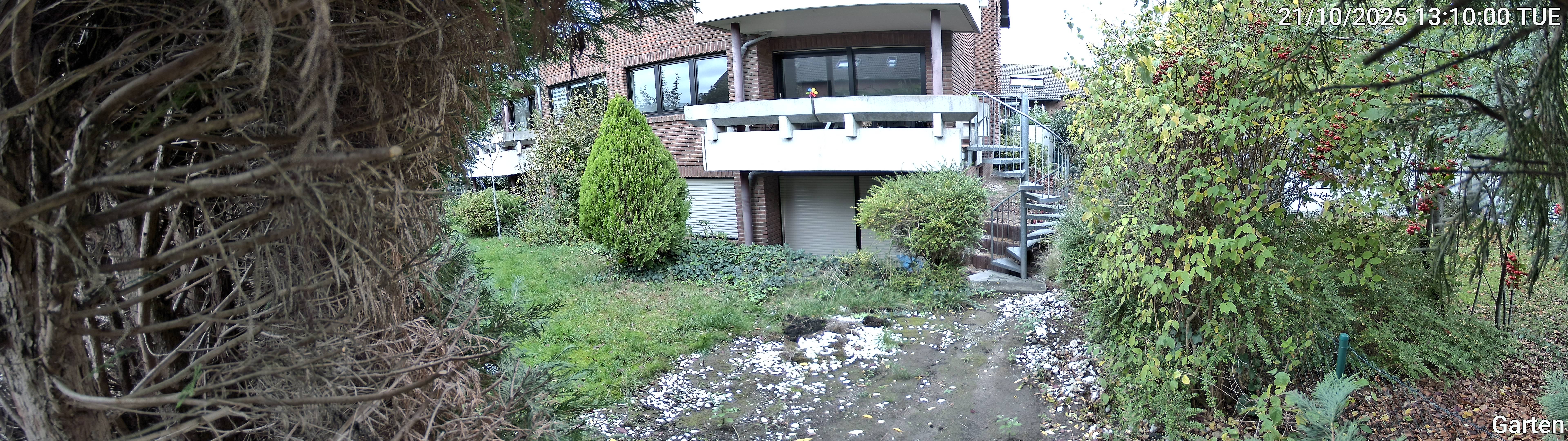 Garten_00_20251021131000.jpg