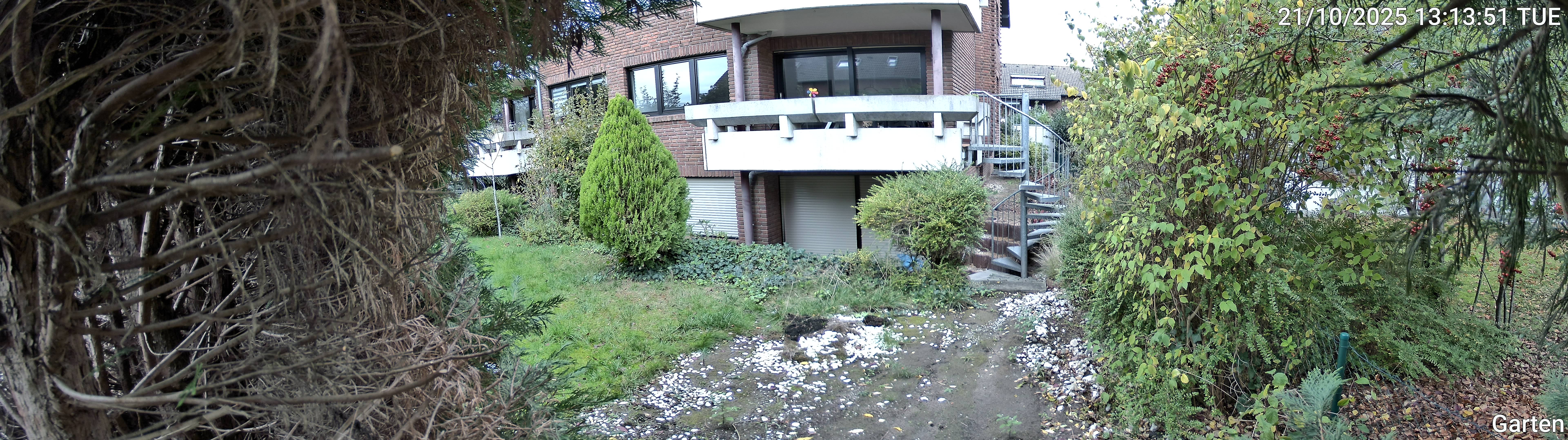 Garten_00_20251021131351.jpg