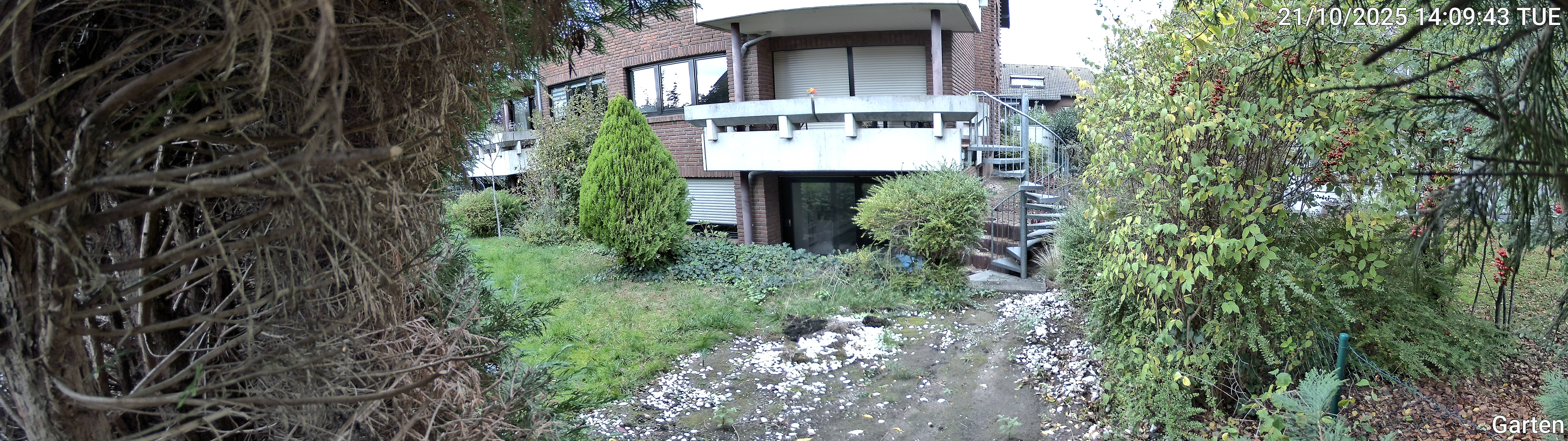Garten_00_20251021140944.jpg
