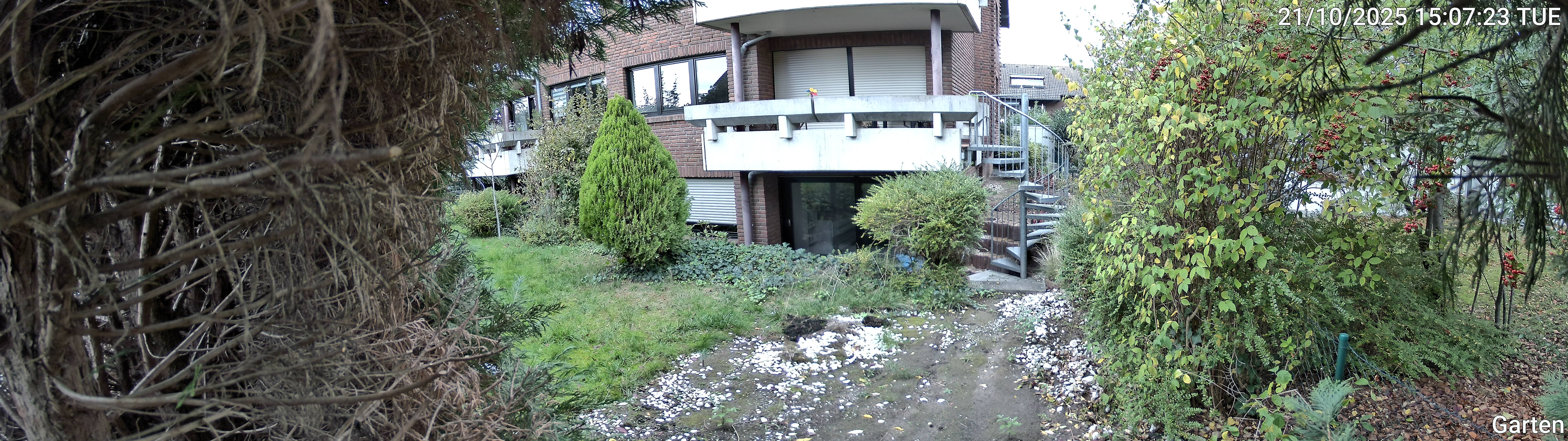 Garten_00_20251021150723.jpg